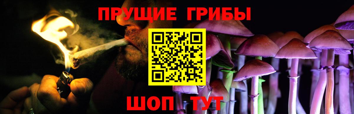 Псилоцибиновые грибы Psilocybine cubensis Ростов-на-Дону